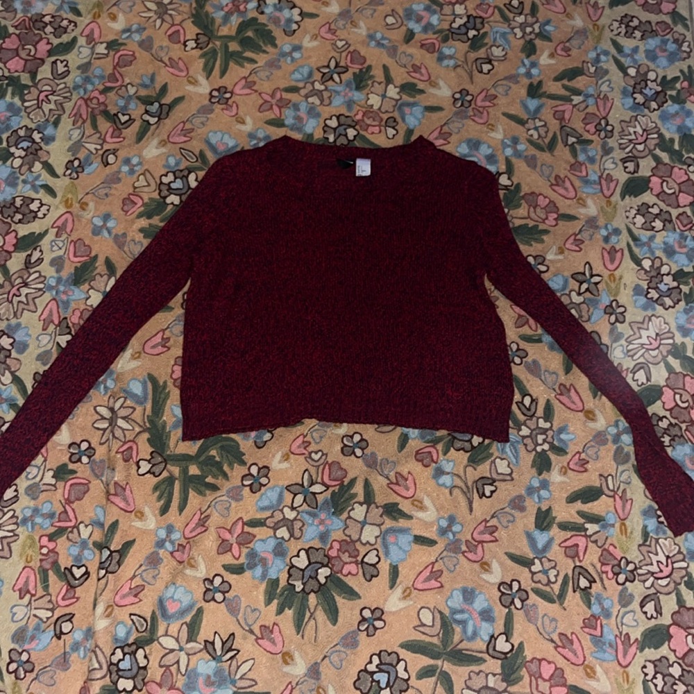 H&M Divided Women’s Red Cropped Sweater